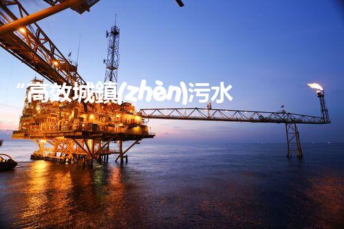 “高效城鎮(zhèn)污水處理流程，守護碧水藍天新篇章”